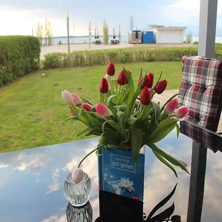 Liebevoll Eingerichtetes Rechlin