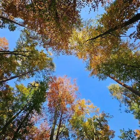 Liebevoll Eingerichtetes Apartment *