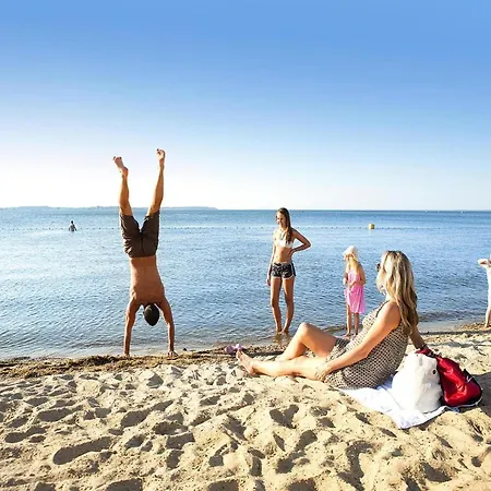 Apartment Liebevoll Eingerichtetes